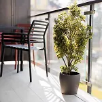 Apartament Marinelake By Bltn *